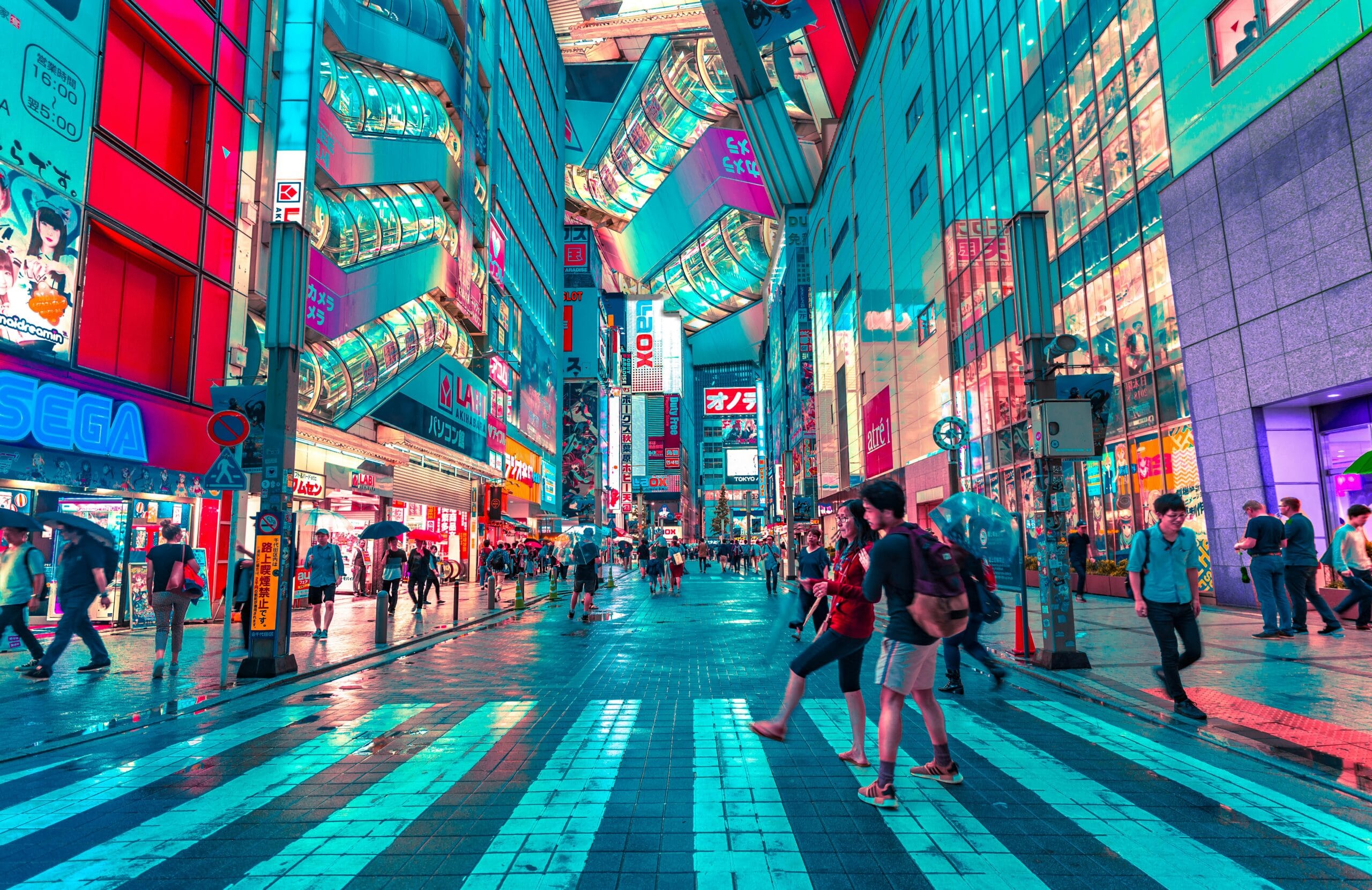 Best Time to Visit Tokyo — What No One Really Tells You