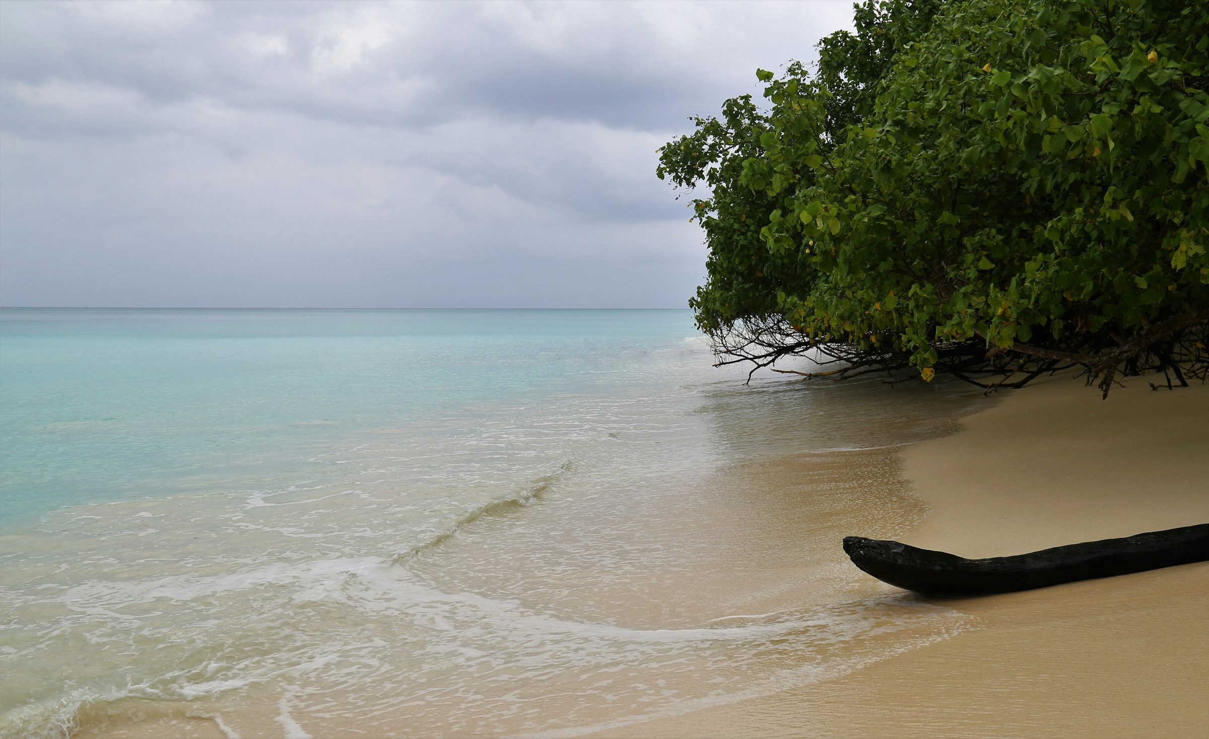 seashore during daytime