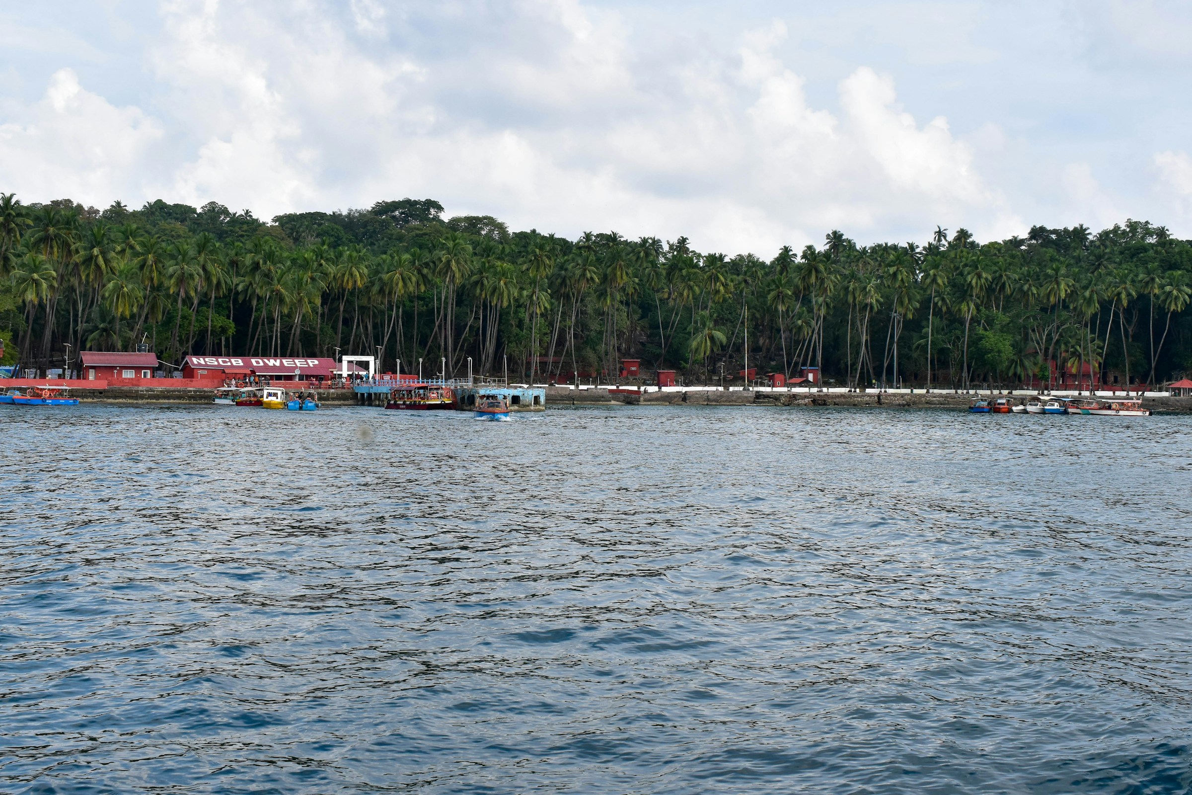 A body of water with a bunch of boats in it