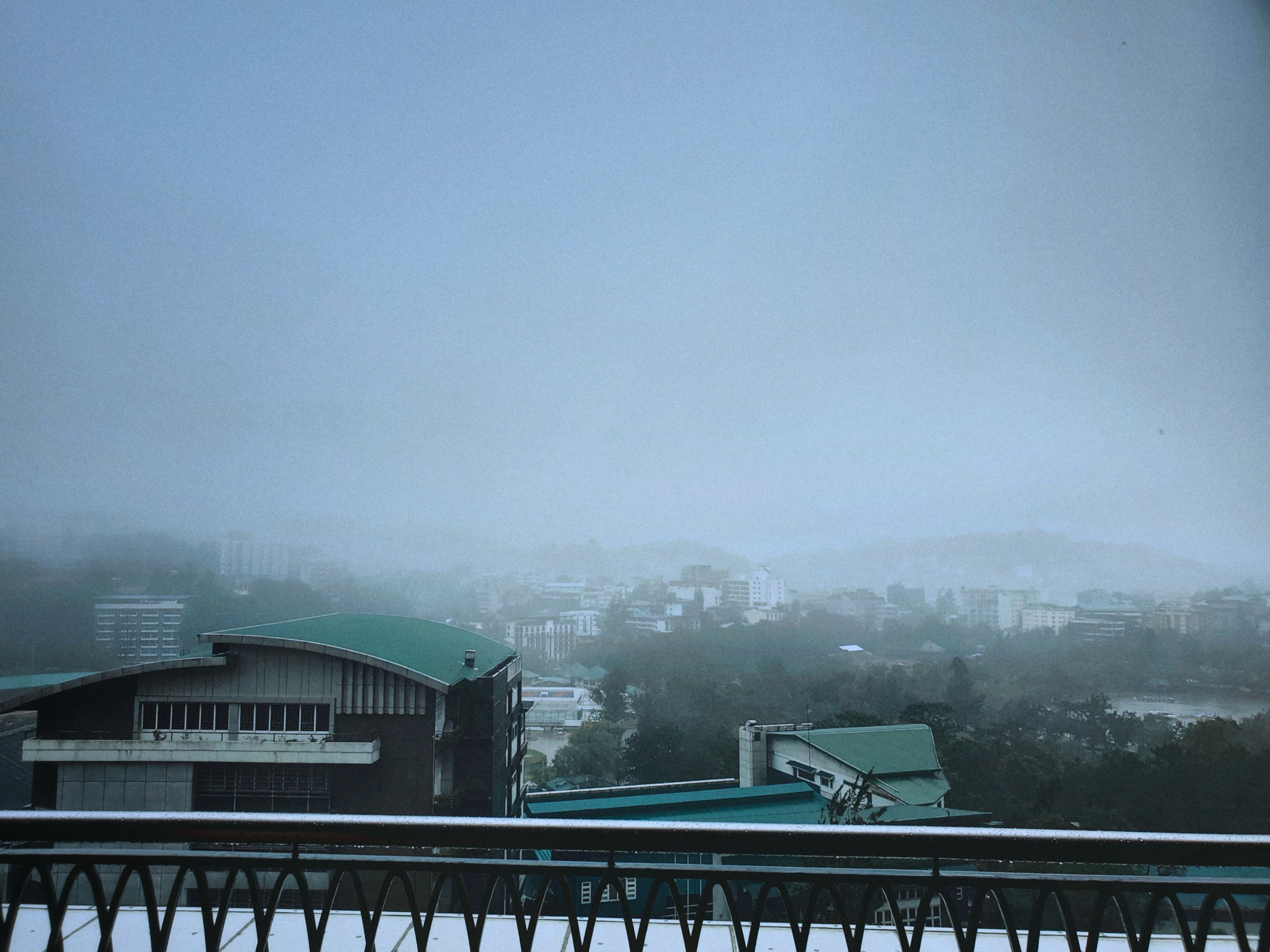 Foggy cityscape with modern buildings and trees