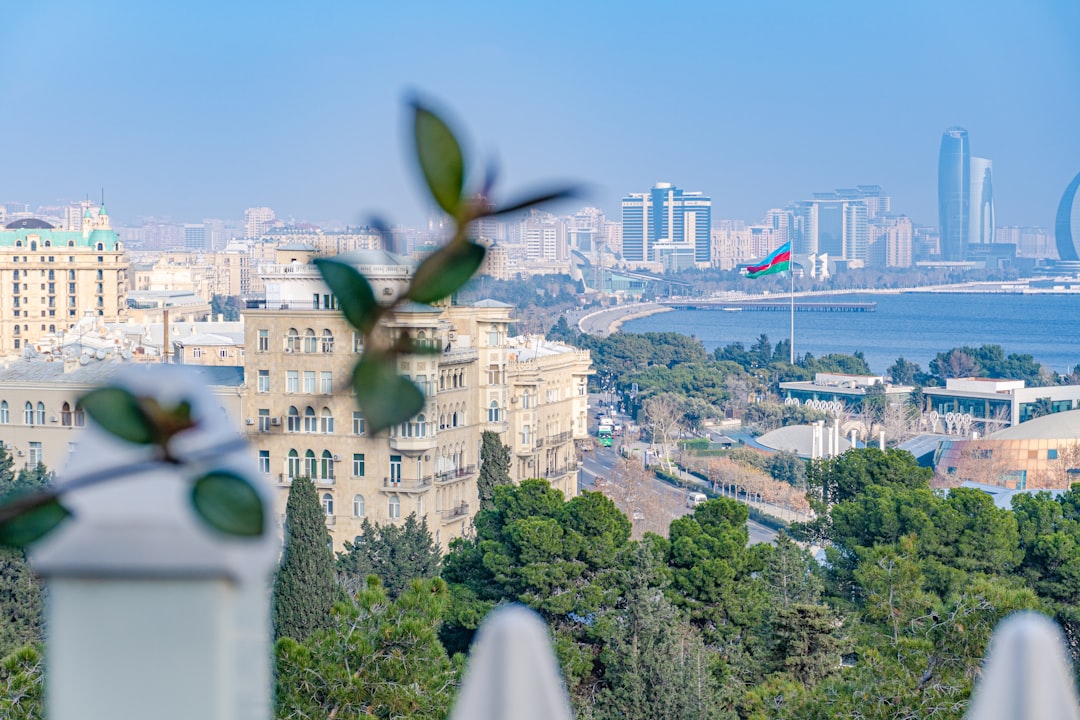 Cityscape with bay in the background and plant in focus.