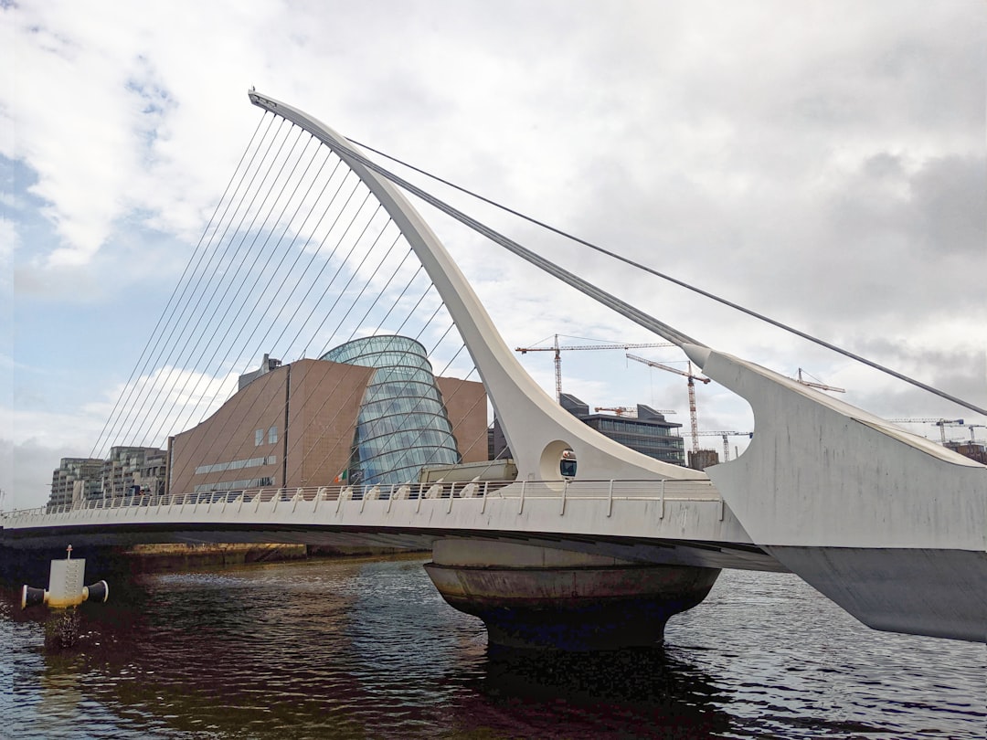 Modern bridge with suspension cables over water