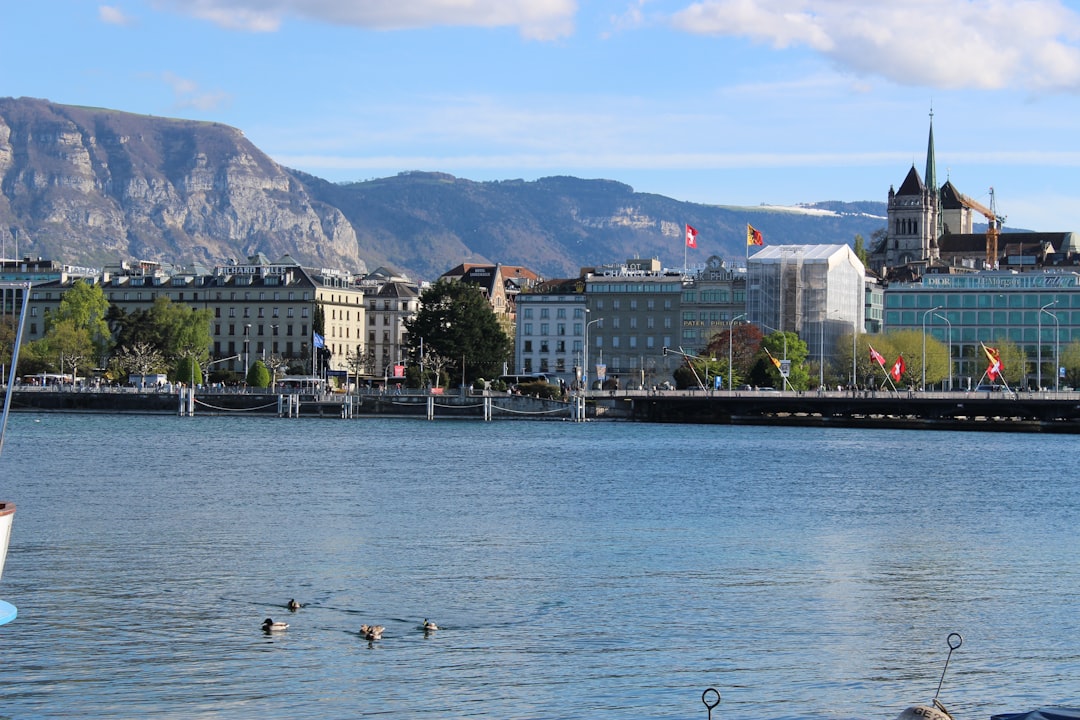 Geneva hotel area
