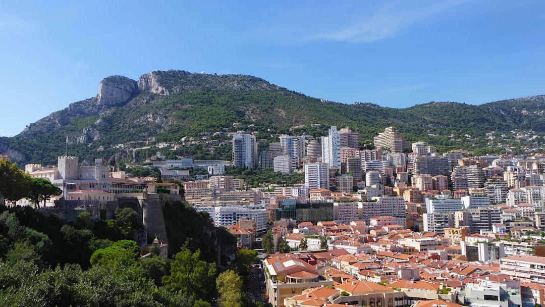 a view of a city with mountains in the background