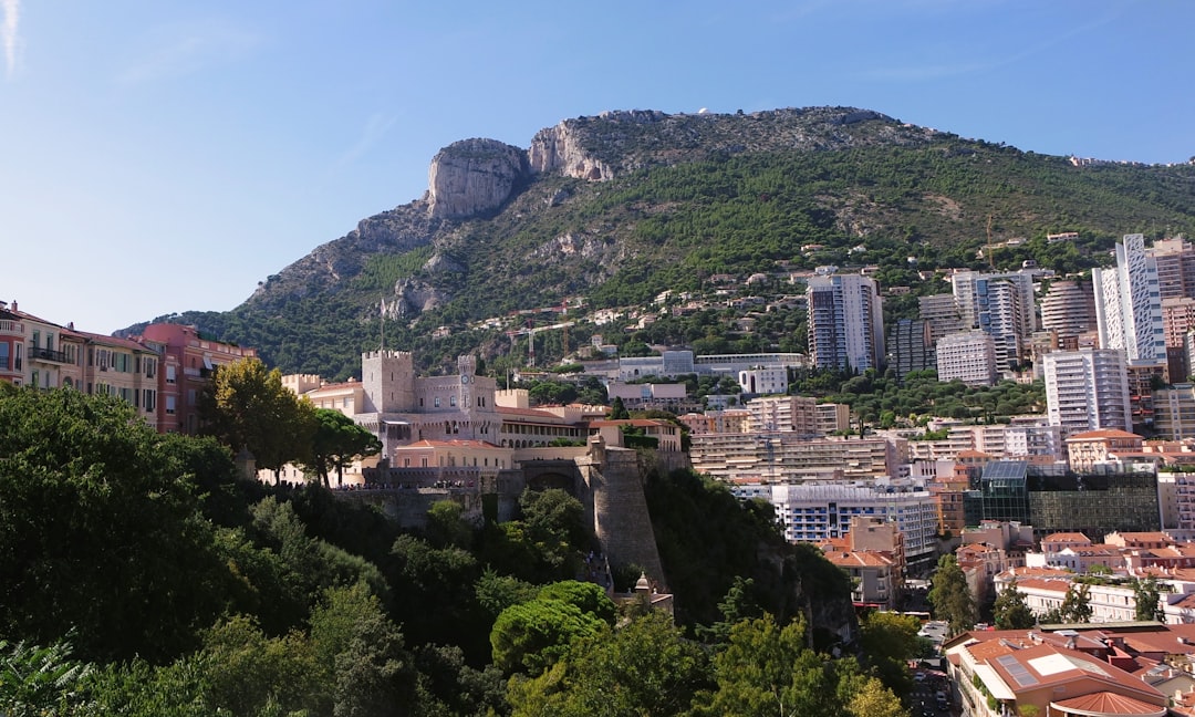 a city with a mountain in the background