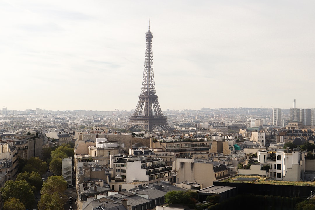 the eiffel tower towering over the city of paris