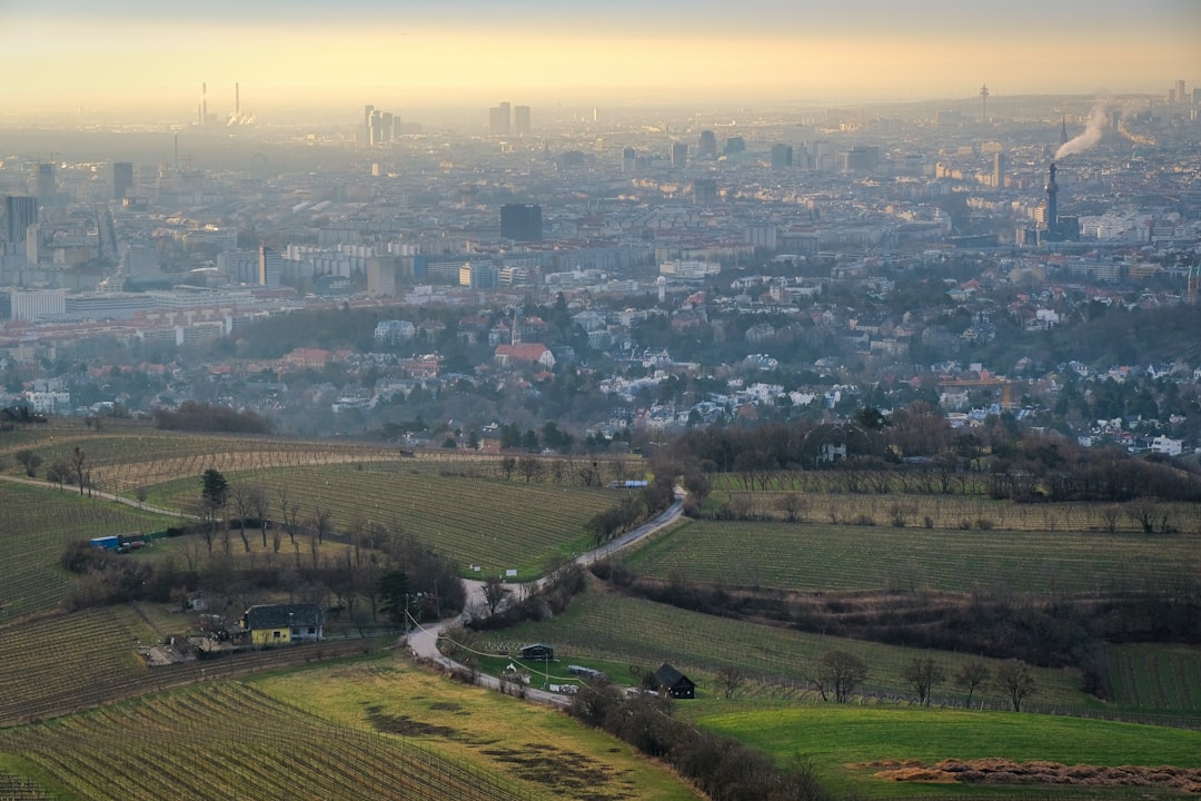 Rolling hills lead to a distant city.