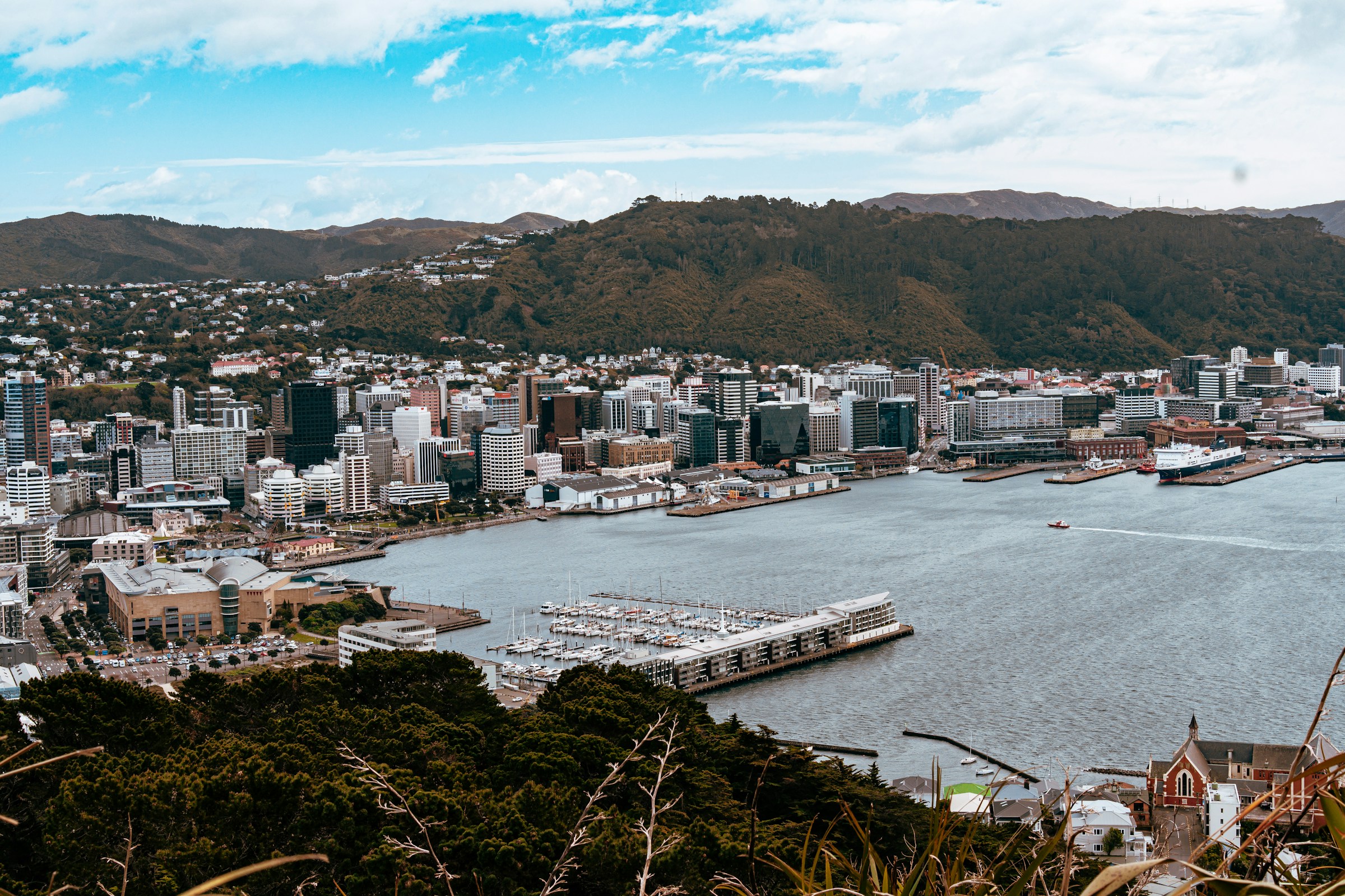 Wellington hotel area