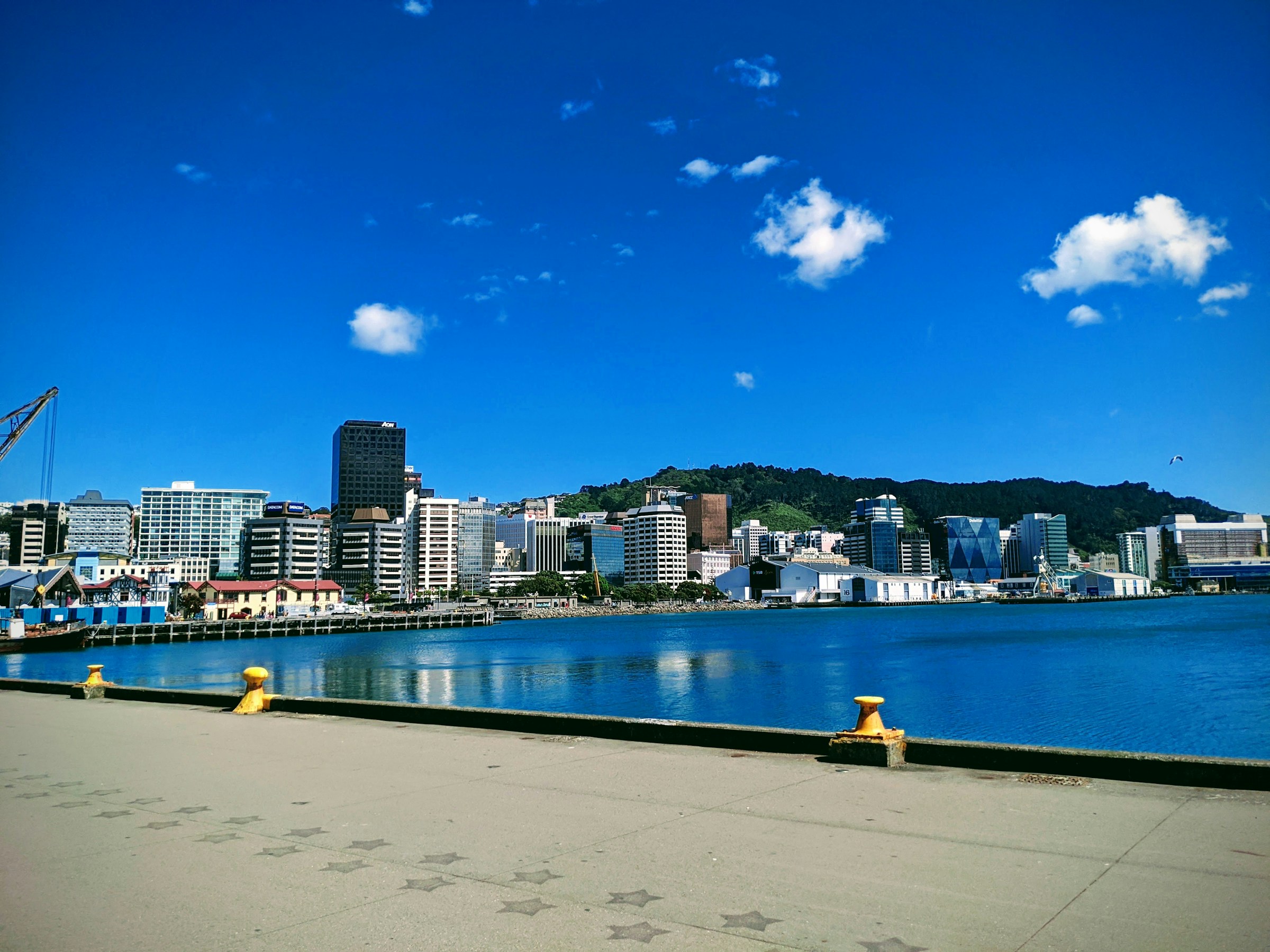 Wellington hotel area