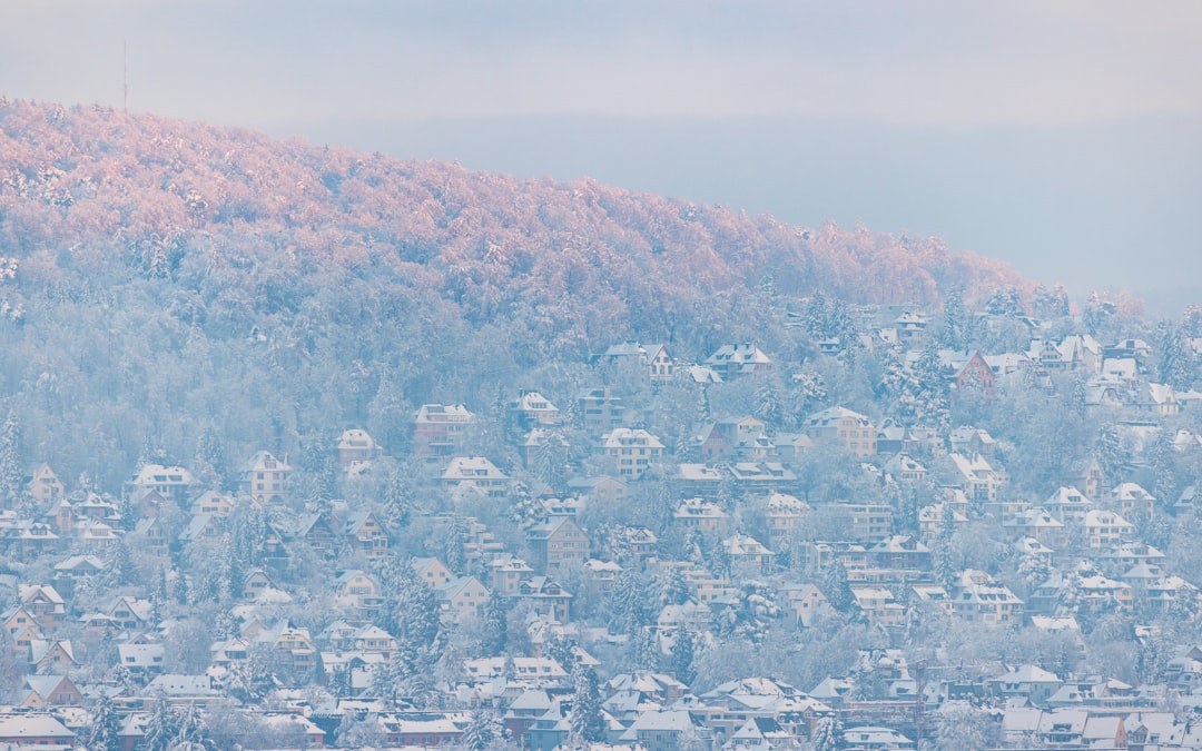 a snow covered mountain with houses in the foreground