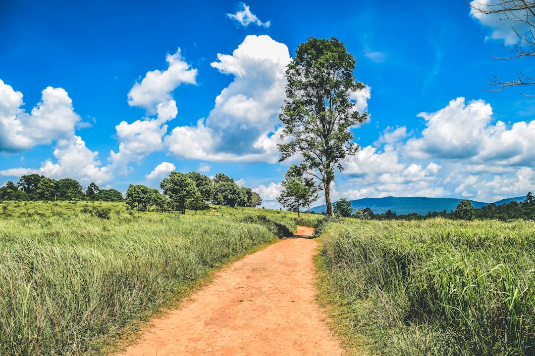 Khao Yai hotel area